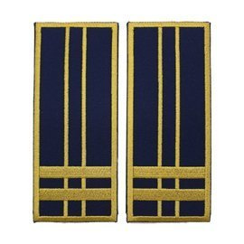 GRADE INSPECTOR VAMAL PRINCIPAL