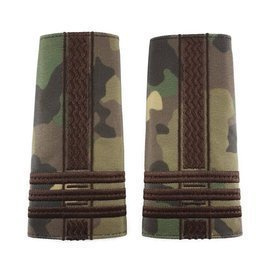 Colonel Rank Combat Terrestrial Forces