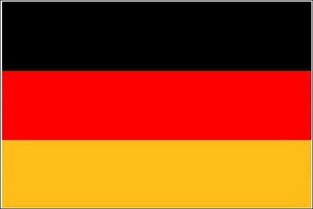 FLAG 30 x 46 cm with wooden stick GERMANY