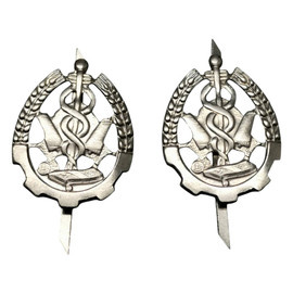 PAIR OF RANK INSIGNIA - QUARTERMASTER/ LOGISTICS 1701 - ROMANIAN ARMY MILITARY SURPLUS - SILVER - IN GOOD CONDITION