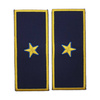 GRADE DIRECTOR EXECUTIV ADJUNCT VAMA - REPREZENTARE/ BLEUMARIN