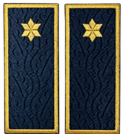 Büntetés-végrehajtási al-ellenőr osztályok ANP