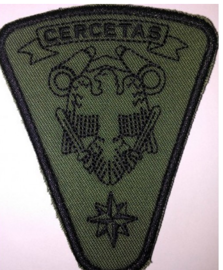 The badge scanned for instruction