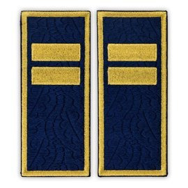 Grade Agent Principal penitenciar ANP - Fundal brodat complet cu frunze de stejar - 12x5 cm (model nou)