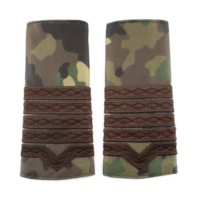 GRADE MAISTRU MILITAR CLASA I COMBAT FORTE TERESTRE