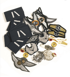 German Insignia Assortment