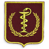 Emblema Spitalul Universitar de Urgenta Militar Central DR. CAROL DAVILA - oras