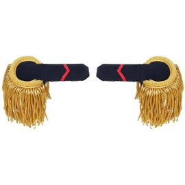 EPAULETTES WITH FRINGES, RANK NAVY OFFICER WITH CASE - MILITARY SURPLUS FROM PORTUGUESE ARMY - LIKE NEW