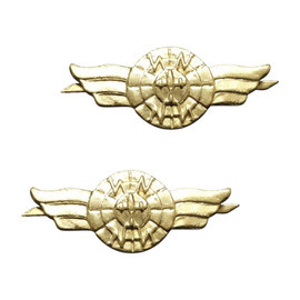 2 DB KATONAI RANGJELZÉS - RADIOLOKÁCIÓ - KATONAI FELESLEG ROMÁN HADSEREG - ARANY - JÓ ÁLLAPOTBAN