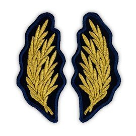 Petlițe Ofițeri Superiori penitenciar ANP, cu tip de aplicare Velcro (cu scai)