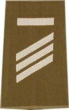 EMBLÉMA - GERMAN ARMY O.D./SILVER SHOULDER LOOPS ´HAUPTGEFREITER UA´