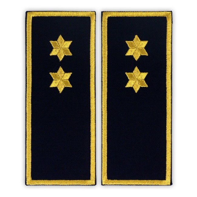 GRADE INSPECTOR PENITENCIAR ANP SIMPLU