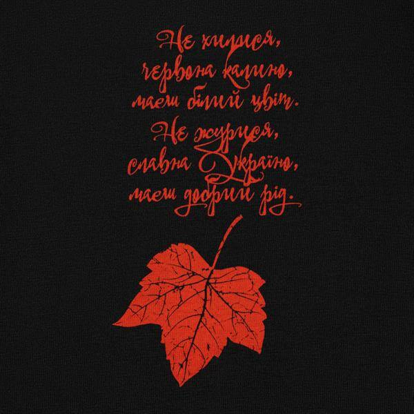 VIBURNUM LONG SLEEVE T-SHIRT - BLACK - M-TAC