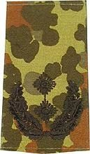 EMBLÉMA - GERMAN ARMY FLECKTARN CAMO/BLACK SHOULDER LOOPS ´OBERSTLEUTNANT´
