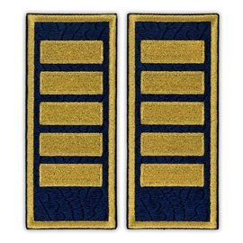 Grade Agent Șef Principal penitenciar ANP - Fundal brodat complet cu frunze de stejar - 12x5 cm (model nou)