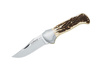 Forest M/CO Cervo Kes - Fox Knives