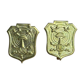 PAIR OF RANK INSIGNIA - LAD OFFICER - LOCAL AIR DEFENSE - ROMANIAN ARMY MILITARY SURPLUS - GOLDEN - IN GOOD CONDITION