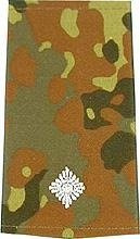 EMBLÉMA - GERMAN ARMY FLECKTARN CAMO/SILVER SHOULDER LOOPS ´LEUTNANT´