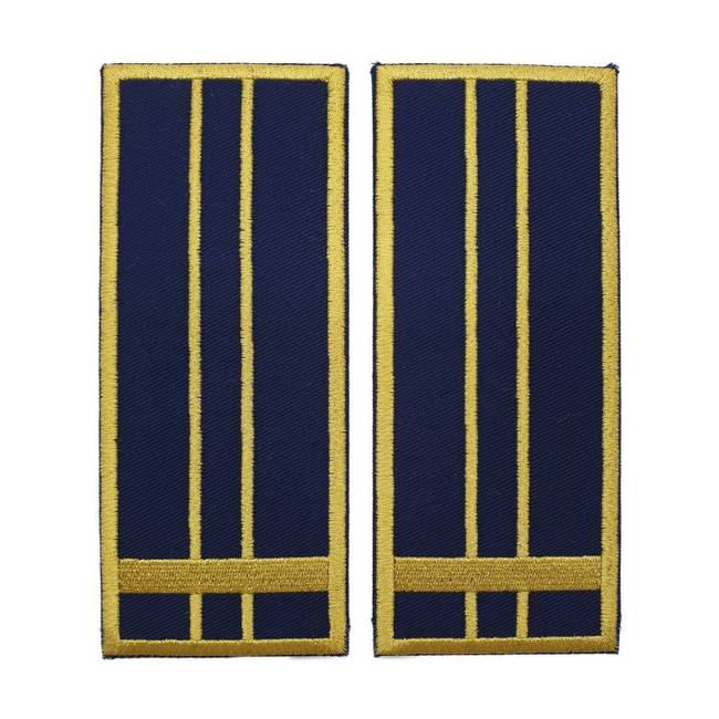 GRADE INSPECTOR VAMAL ASISTENT - REPREZENTARE/ BLEUMARIN