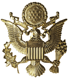 US Army Officer Hat Insignia
