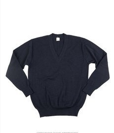 CZECH BLUE V-NECK SWEATER LIKE NEW