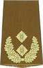 EMBLÉMA - GERMAN ARMY O.D./GOLD SHOULDER LOOPS ´GENERAL-MAJOR´