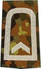 EMBLÉMA - GERMAN ARMY FLECKTARN CAMO/SILVER SHOULDER LOOPS ´FELDWEBEL´