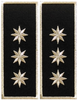 Embroided emblems - Local Police (Executive Director)