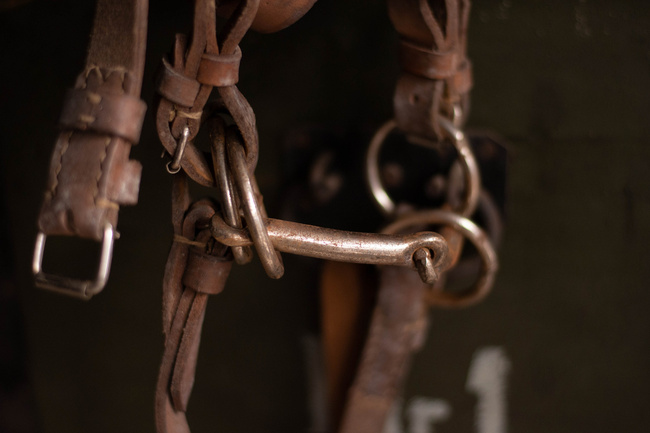 Horse halter with snaffle - Romanian Surplus - In good condition