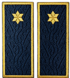 Büntetés-végrehajtási al-ellenőr osztályok ANP