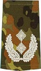 EMBLÉMA - GERMAN ARMY FLECKTARN CAMO/SILVER SHOULDER LOOPS ´OBERSTLEUTNANT´