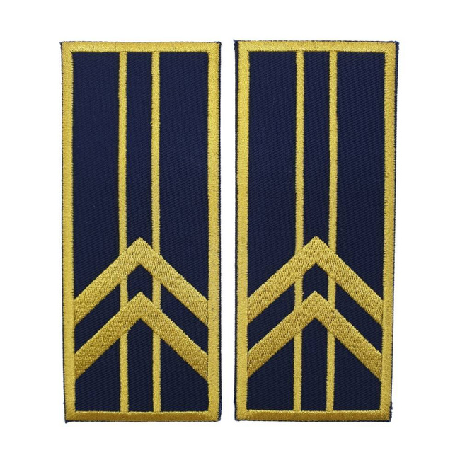 GRADE CONTROLOR – REFERENT VAMAL PRINCIPAL - REPREZENTARE/ BLEUMARIN