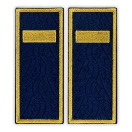 Grade Agent penitenciar ANP - Fundal brodat complet cu frunze de stejar - 12x5 cm (model nou)