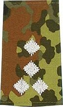 EMBLÉMA - GERMAN ARMY FLECKTARN CAMO/SILVER SHOULDER LOOPS ´STABSHAUPTMANN´
