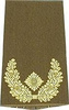 EMBLÉMA - GERMAN ARMY O.D./GOLD SHOULDER LOOPS ´BRIGADE-GENERAL´