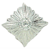 East German Silver Rank Star