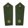 PAIR OF POLICE EPAULETTES – 1 STAR – OD GREEN/GOLDEN – WEST GERMAN FEDERAL POLICE – LIKE NEW