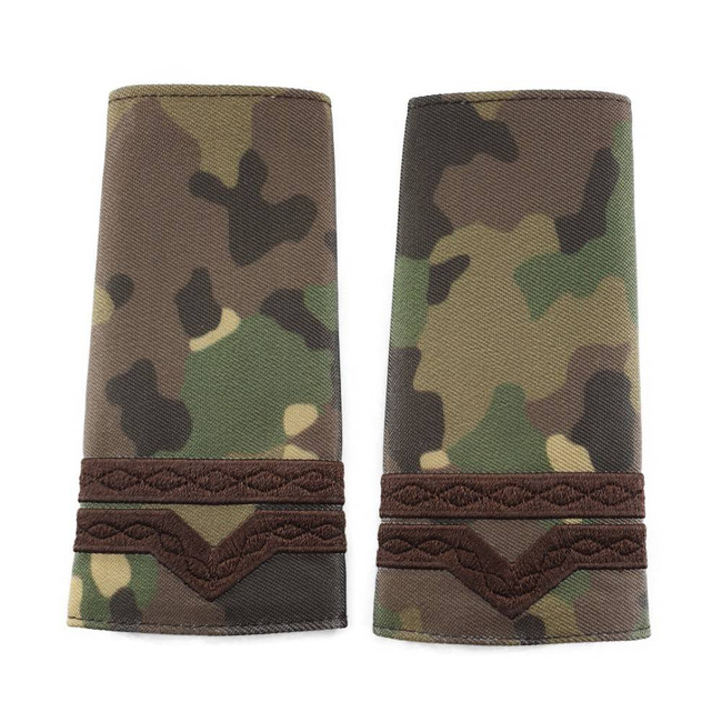 GRADE MAISTRU MILITAR CLASA 4-A COMBAT FORTE TERESTRE