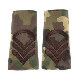 Grade Caporal clasa I - Camuflaj Combat Forte Terestre - Cu Semn de Arma Comunicatii si Informatica