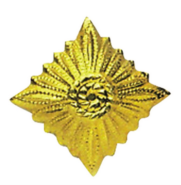 GOLD STAR RANK - EAST GERMAN ARMY