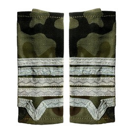 MILITARY MASTER RANKS, LAND FORCES - MILITARY MASTER CLASS I WITHOUT SIGN OF ARMS, COMBAT - MILITARY SURPLUS ROMANIAN ARMY - USED
