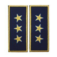 reprezentare/bleumarin