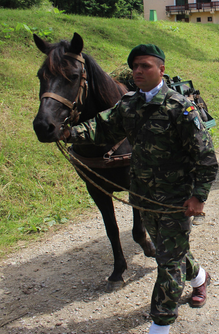 Horse halter with snaffle - Romanian Surplus - In good condition