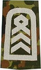 Original Pair of Ranks - Sergeant major - Oberstabsfeldwebel - German Army - Flecktarn Camouflage/Silver Camouflage