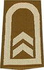 EMBLÉMA - GERMAN ARMY O.D./SILVER SHOULDER LOOPS ´OBERFELDWEBEL´