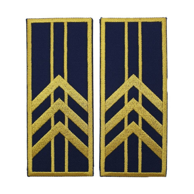 GRADE CONTROLOR – REFERENT VAMAL SUPERIOR - REPREZENTARE/ BLEUMARIN