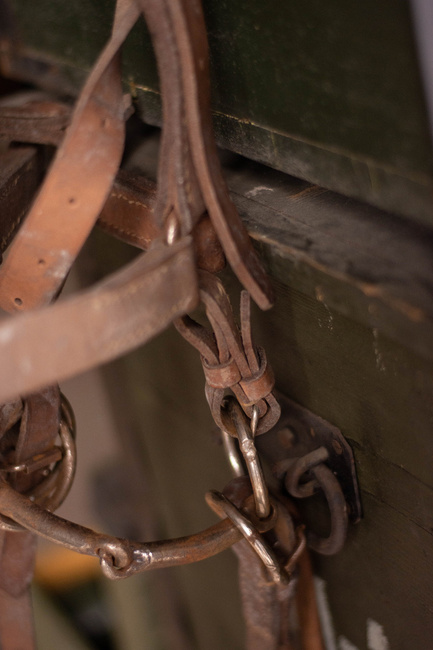 Horse halter with snaffle - Romanian Surplus - In good condition