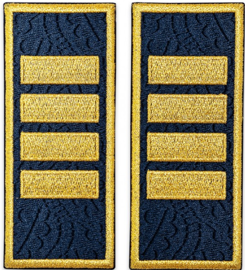 Büntetés-végrehajtási vezető, ANP