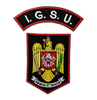 Emblemă Pompieri ISU, IGSU cu suport negru și aplicare termică