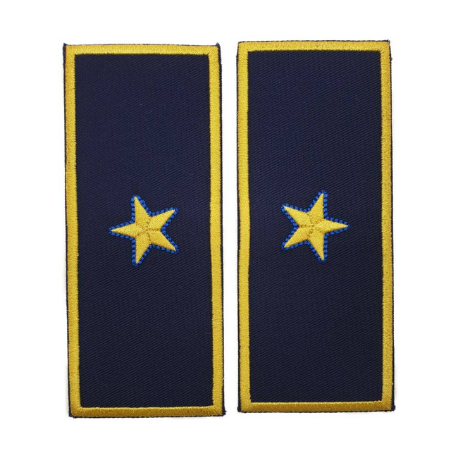 GRADE DIRECTOR EXECUTIV ADJUNCT VAMA - REPREZENTARE/ BLEUMARIN